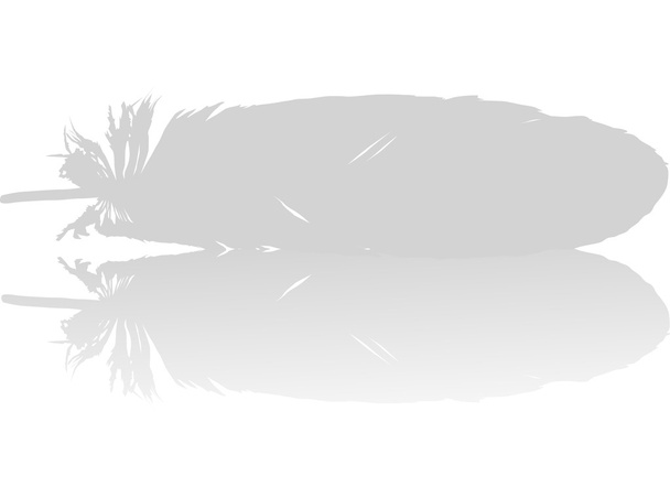 illustration with feather and reflection - Vector, Image