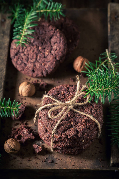 Sweet and homemade chocolate cookies with spruce and nuts. Little cookies made of cocoa and nuts. - Foto, Imagen