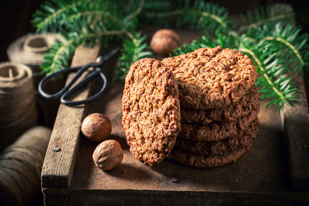 Homemade and tasty chocolate cookies with spruce and nuts. Little cookies made of cocoa and nuts. - Foto, Imagen