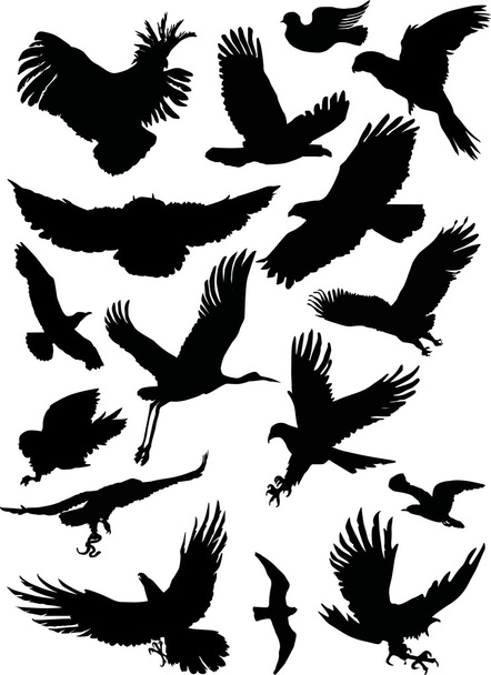 Černá letu ptáků - Vektor, obrázek