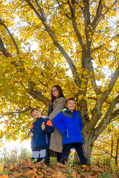 Una hermana con sus hermanos menores está junto a un árbol amarillo de otoño - Foto, imagen