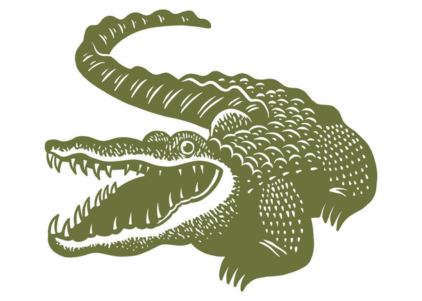 Vintage krokodyl - ręcznie rysowane wektor ilustracji - Wektor, obraz