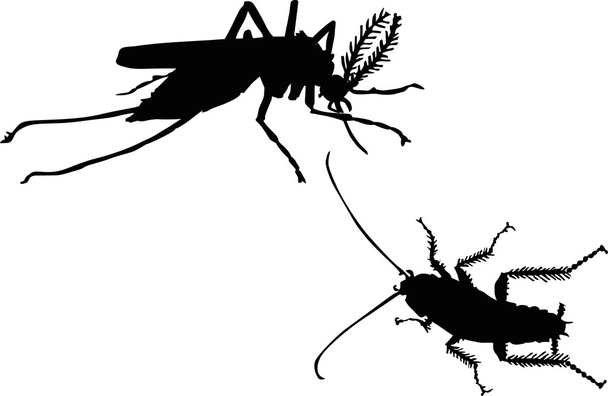 Sivrisinek ve böcek - Vektör, Görsel