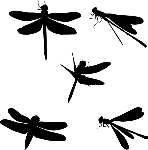 Fünf Libellensilhouetten - Vektor, Bild