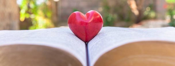 Open book and red heart on i - Foto, Imagen