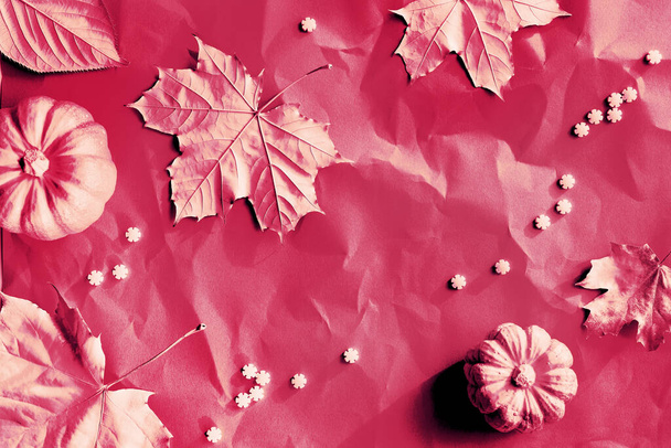 Viva Magenta color of the year 2023. Autumn magenta background with painted maple leaves, pumpkins and rows of sugar sprinkles. Vibrant monochromatic background. - Photo, Image