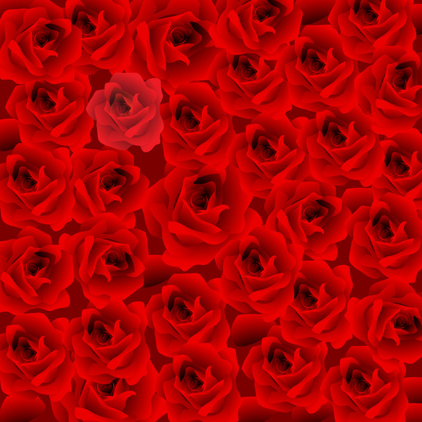 Rose rouge fond
 - Vecteur, image