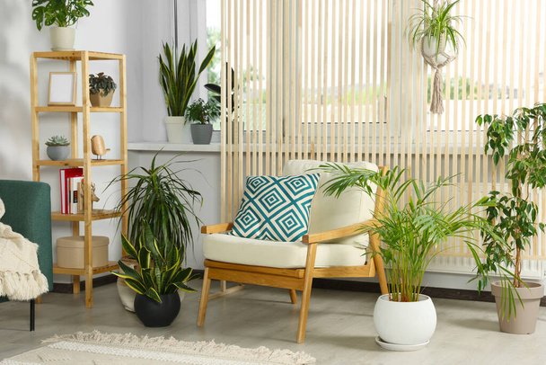 Living room interior with beautiful different potted green plants and furniture. House decor - Valokuva, kuva