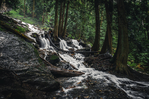 Waterfall on the Mountain Stream in the Forest. Clicked in Canada. - 写真・画像
