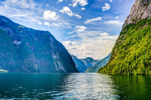 Amazing view on Hardangerfjord in Norway at summer time - 写真・画像