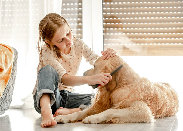 Preteen girl brushes golden retriever dog wet hair after shower and cleaning procedures at home. Pretty child kid with pet labrador friend indoors - Foto, Imagen