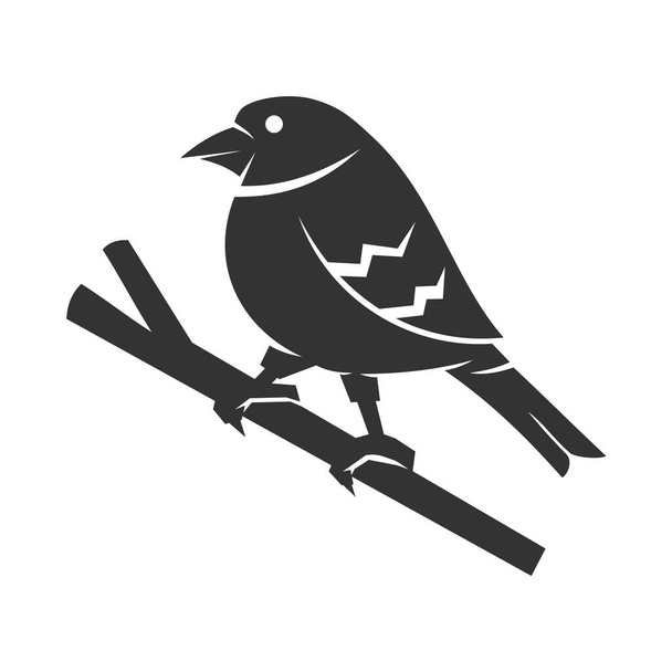 Finch lintu logo malli kuvake kuvitus tuotemerkki Identiteetti - Vektori, kuva
