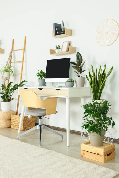Comfortable workplace with modern computer and different houseplants in room - Foto, Bild