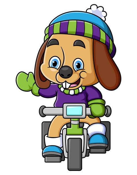 Schattige hond paardrijden fiets en het dragen van winter hoed van illustratie - Vector, afbeelding