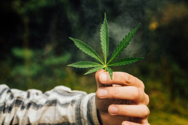 grünes Marihuanablatt im Rauch in männlicher Hand, medizinisches Cannabis zum Rauchen und Gesundheit 1 - Foto, Bild