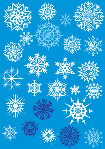 twenty five light snowflakes - Vector, Image