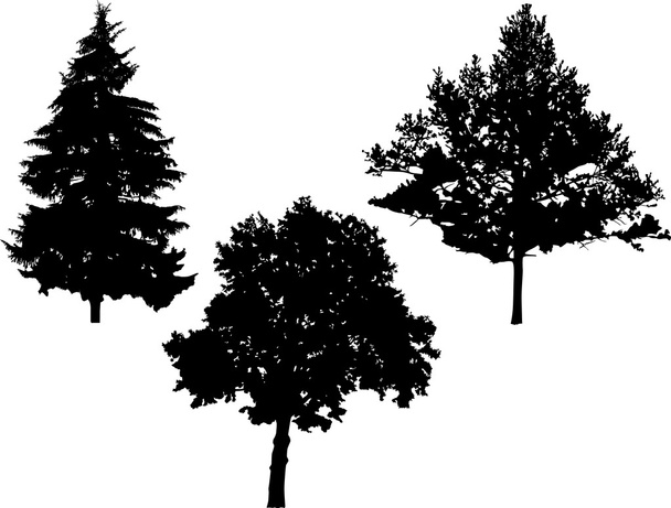 three black trees - Vector, Image
