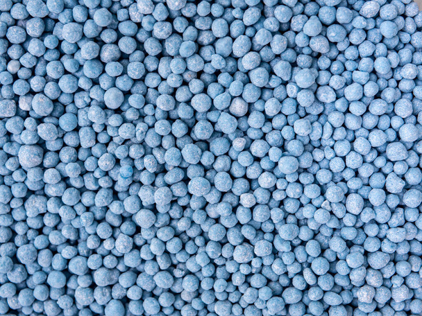 Piccoli granuli rotondi blu sono fertilizzanti chimici formulati per accelerare i fiori - Foto, immagini
