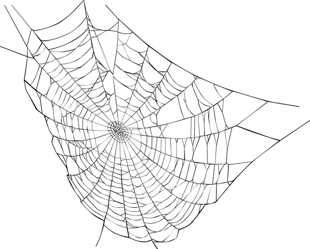 Spinnennetz-Illustration - Vektor, Bild