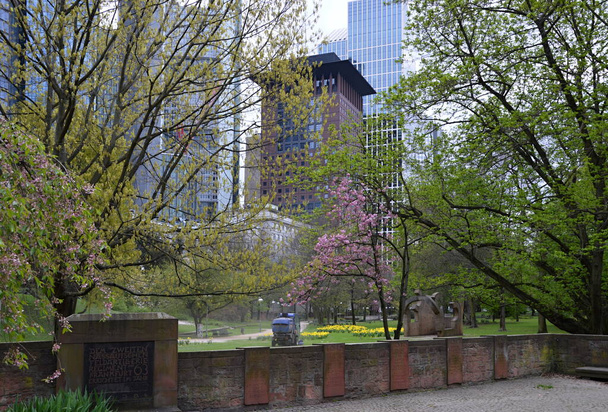Park im Frühling in der Innenstadt von Frankfurt am Main, Hessen - Foto, Bild