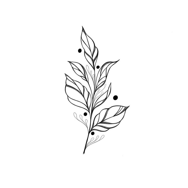 Prachtige hand zwarte omtrek bloem touw kruid illustratie geïsoleerd op witte achtergrond. Botanische element sjabloon voor grafisch ontwerp, bruiloft decor, textiel, souvenir cadeau, briefpapier print - Foto, afbeelding