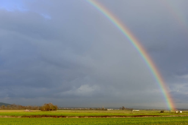maravilloso arco iris en nubes de lluvia oscura sobre campos verdes en un paisaje plano - Foto, imagen