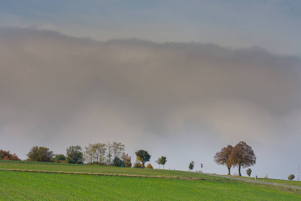 pojedyncze drzewa z zielonymi polami i ogromna ściana białej mgły nad ziemią widok szczegółowy - Zdjęcie, obraz