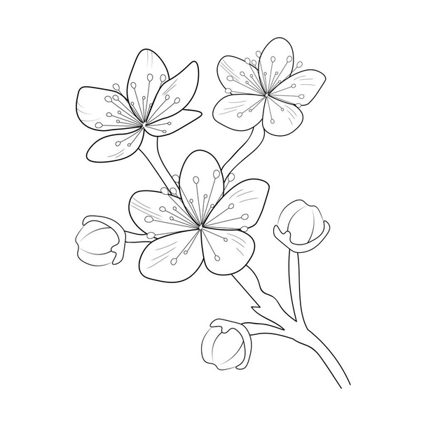 Bella primavera disegnata a mano di fiori di ciliegio in fiore. illustrazione vettoriale isolata su sfondo bianco, pagina da colorare e libri per bambini e adulti - Vettoriali, immagini
