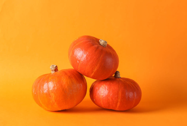 Pumpkins on orange background. Autumn harvest, Halloween symbol. Minimal still life - Valokuva, kuva