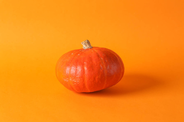 Kürbis auf orangefarbenem Hintergrund. Herbsternte, Halloween-Symbol. Minimales Stillleben - Foto, Bild