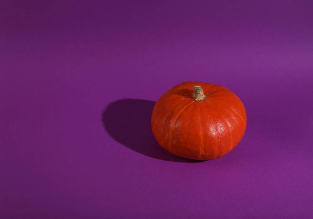 Orange pumpkin with a shadow on a bright purple background. Minimal Halloween still life. Creative layout - Фото, изображение