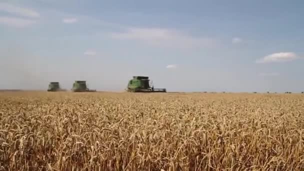 Combine is in the field. harvesting - Footage, Video