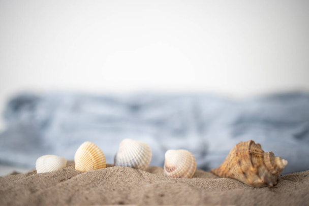 背景砂粒、細かい砂浜と貝殻. - 写真・画像