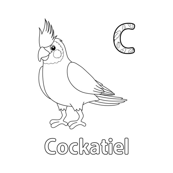 Cette image vectorielle ABC montre une page à colorier Cockatiel Animal. Il est isolé sur un fond blanc. Parfait pour les enfants et les élèves du primaire pour apprendre l'alphabet et toutes ses lettres. - Vecteur, image