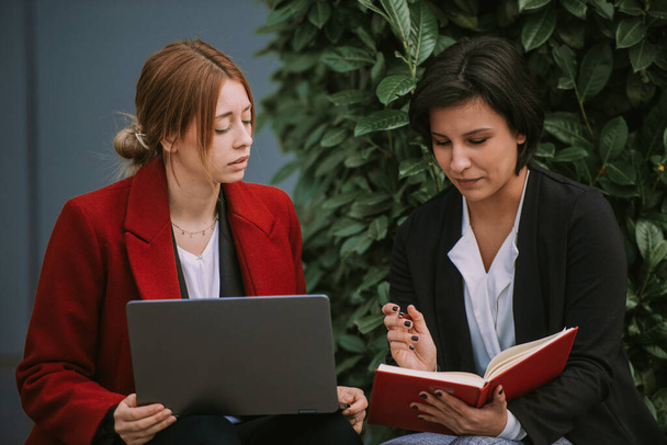 close-up van mooie brunette business vrouw tonen iets van de notebook naar haar collega terwijl zitten - Foto, afbeelding