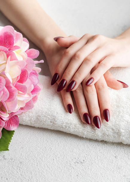 Piękne dłonie młodej kobiety z ciemnoczerwonym manicure na paznokciach. Kobieta ręce na ręczniku w salonie paznokci i kwiaty hortensji - Zdjęcie, obraz