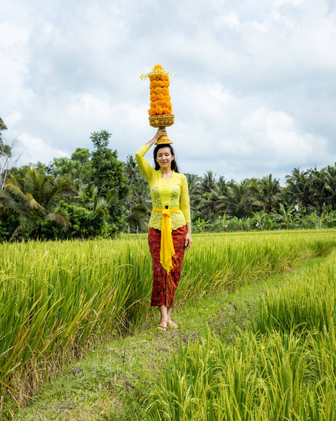 Caucasian woman dressed in traditional Balinese costume carrying god's offerings for Hindu religious ceremony. Culture and religion. Offerings made of marigold flowers. Rice field in Bali, Indonesia - Photo, Image