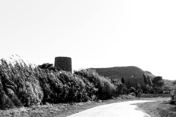 Παλιός πύργος και μονοπάτι περιτριγυρισμένο από καλάμια και βλάστηση στην παραλία Playazo, Rodalquilar, Αλμερία - Φωτογραφία, εικόνα