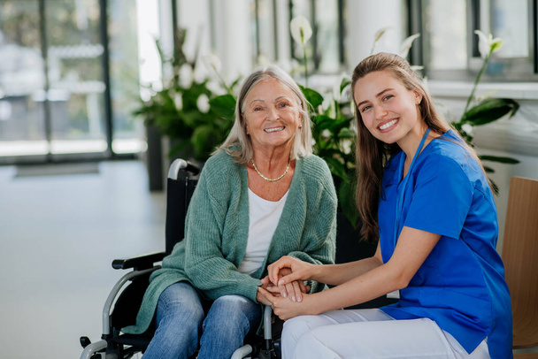 Young woman doctor taking care of senior woman at a wheelchair. - Foto, Bild
