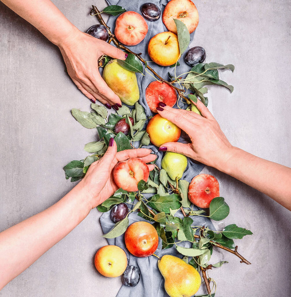 Female girls hands holding seasonal organic fruits from garden: apples, pears, peaches, plums with leaves , top view. Flat lay. Healthy clean food - Foto, imagen