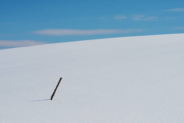 Houten stok in koudwitte sneeuw op de heuvel van het berglandschap van Zlatibor in de winter - Foto, afbeelding