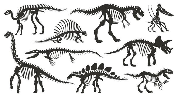 Sarjakuva dino luuranko siluetteja. Antiikin dinosaurus fossiilisia luita, jurassic tyrannosaurus, velociraptor, spinosaurus musta siluetti tasainen vektori kuvitus asetettu valkoisella taustalla - Vektori, kuva