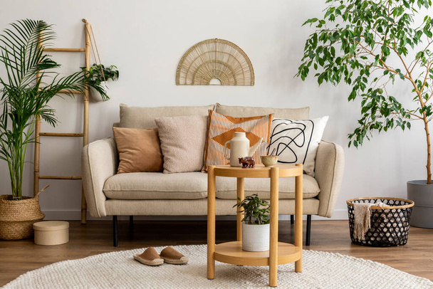 Scandinavian and cozy interior of living room with design beige sofa, pillows, plants, carpet, decoration and personal accessories. Stylish home decor. Template. - Zdjęcie, obraz