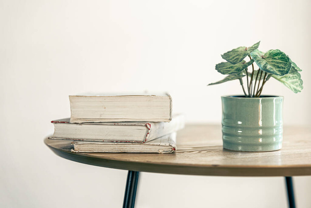 Egy halom könyv és egy szobanövény egy edényben homályos háttérrel a szoba belsejében közelkép. - Fotó, kép