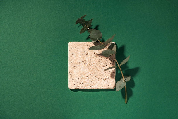 Travertine tile. Minimal composition, empty mockup template for product presentation made with natural travertine and eucalyptus on a dark green background. Flat lay with copy space. Top view. - Foto, Bild