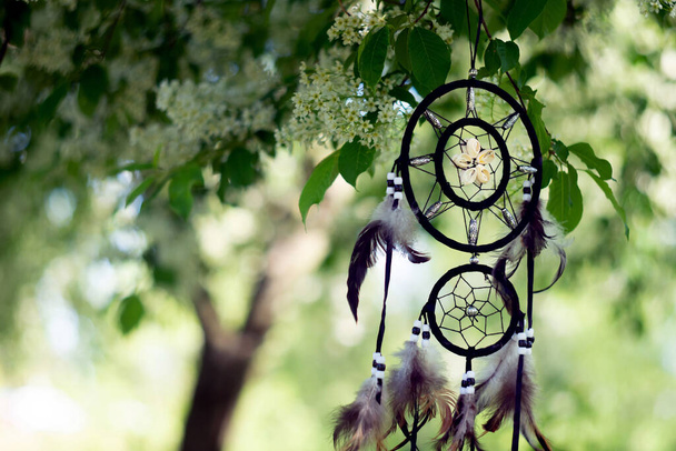 Dreamcatcher in forest, mystical protect amulet. Soft focus - Photo, Image