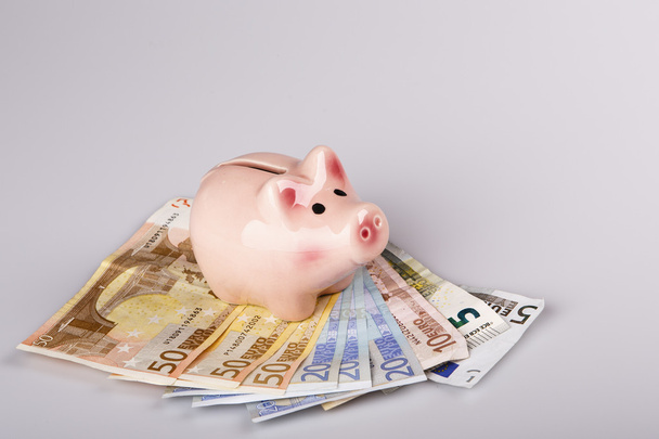 pig bank on euro banknotes - Photo, image