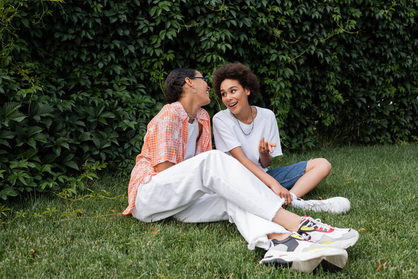 stylish african american lesbian woman in sunglasses looking at excited girlfriend while sitting on lawn  - Photo, Image
