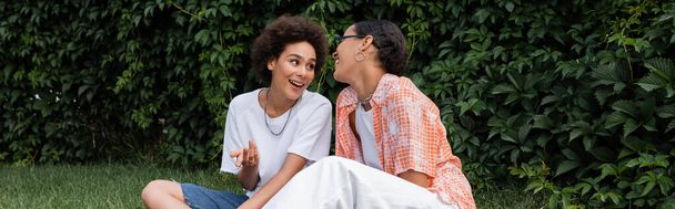 stylish african american lesbian woman in sunglasses looking at happy girlfriend while sitting on lawn, banner - Foto, Bild