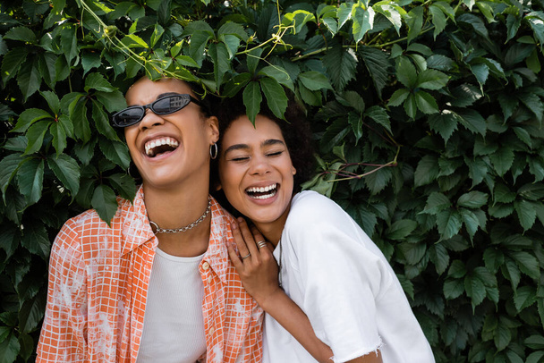 happy african american lesbian women laughing near green bush in park  - 写真・画像